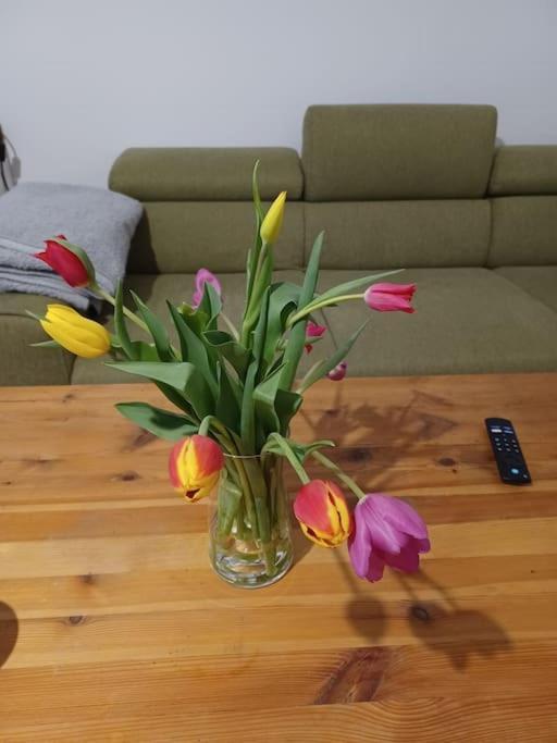 Sehr Zentral Gelegen Daire Viyana Dış mekan fotoğraf